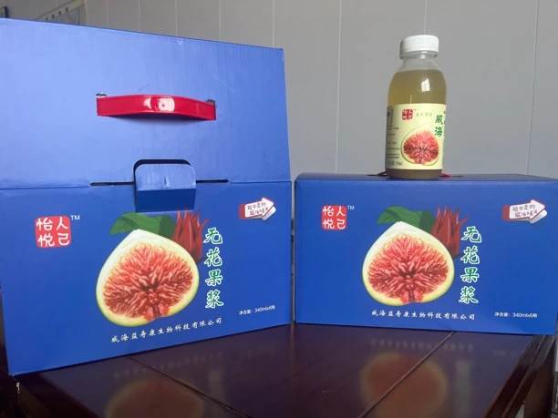 威海无花果果浆饮品