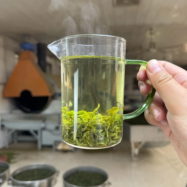 【晚秋茶】2024年正宗日照绿茶晚秋茶豆香一芽一两叶120