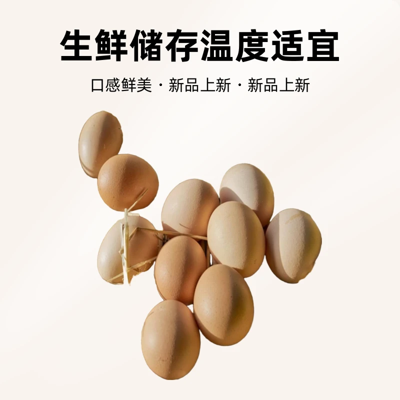 农村农户散养鸡，鸡蛋