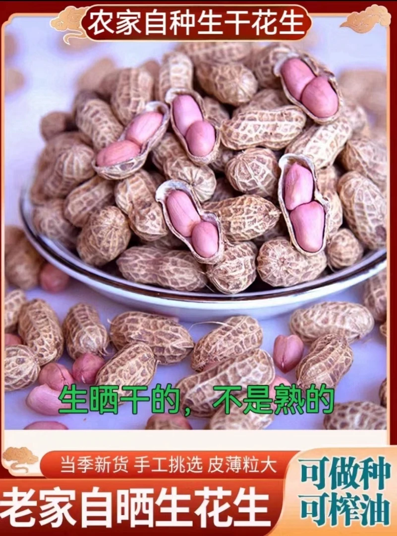 新鲜白肉晒干生花生带壳生果煲汤生吃营养健康坚果干货农家精选