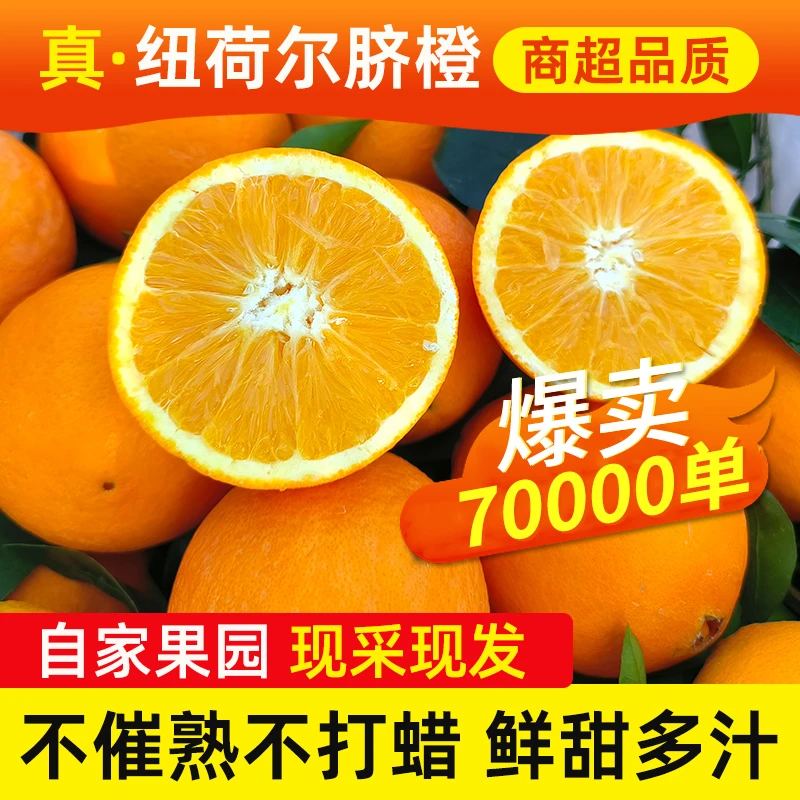 云南正宗现摘当季纽荷尔脐橙橙子桔子香味浓郁带叶发货5斤/9斤