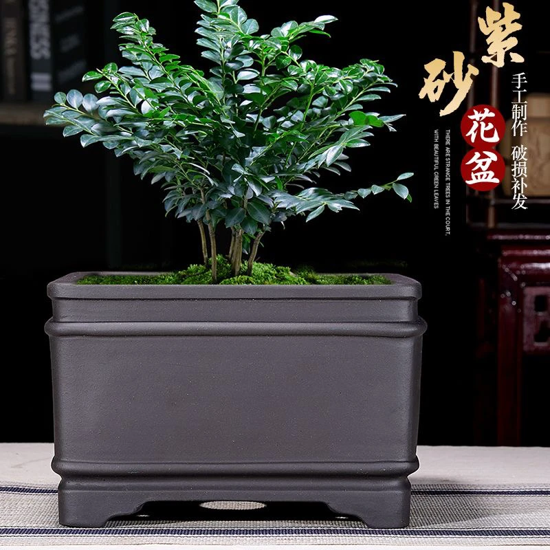 宜兴四方紫砂花盆中国风花卉绿植斗盆室内地面盆栽大口径低价促销