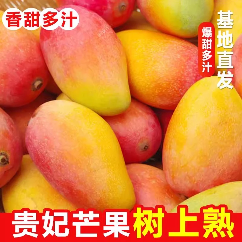 海南贵妃芒果（2斤/5斤装）新鲜芒果软糯香甜水果皮薄肉厚清甜可口