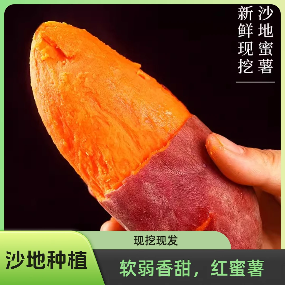 福建沙地蜜薯（3/5/9斤装）新鲜当季番薯沙地种植地瓜软糯香甜