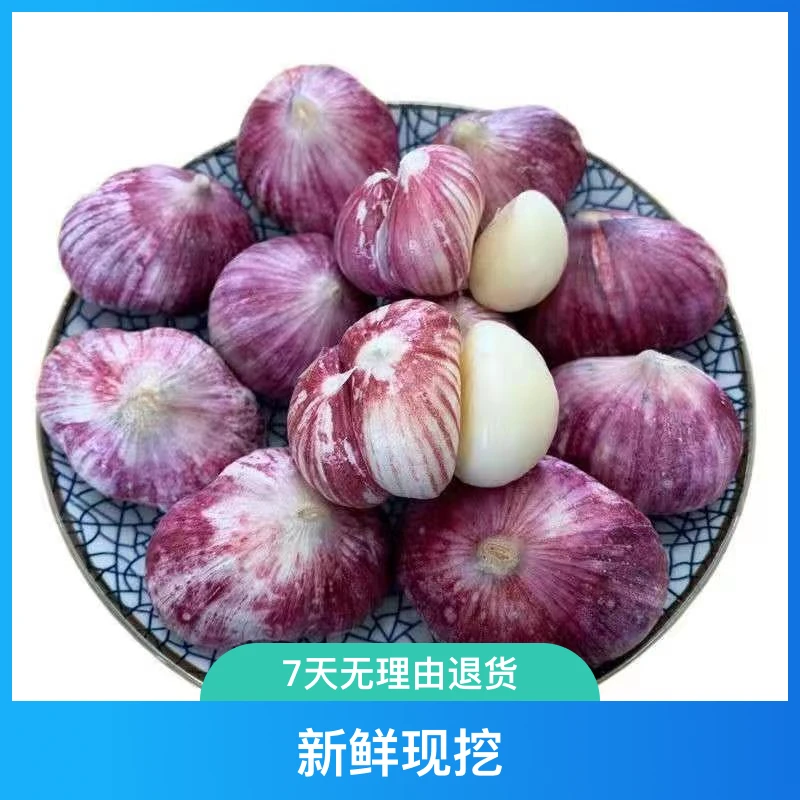 云南紫皮现挖湿蒜三瓣三丫蒜饱满辛辣调味大蒜1/2/3/5/9 斤包赔发