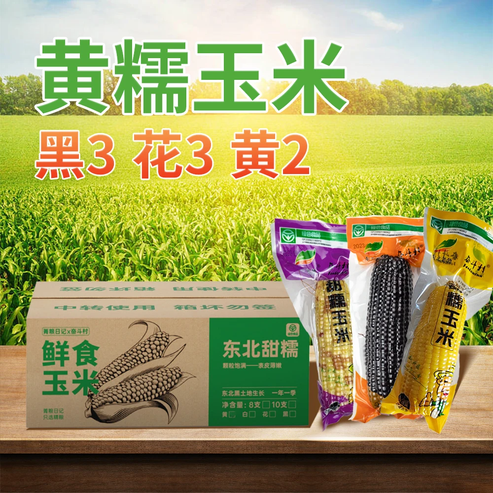 东北黑黄花三色组合甜糯玉米240*8支混装真空包装绿色食品nc