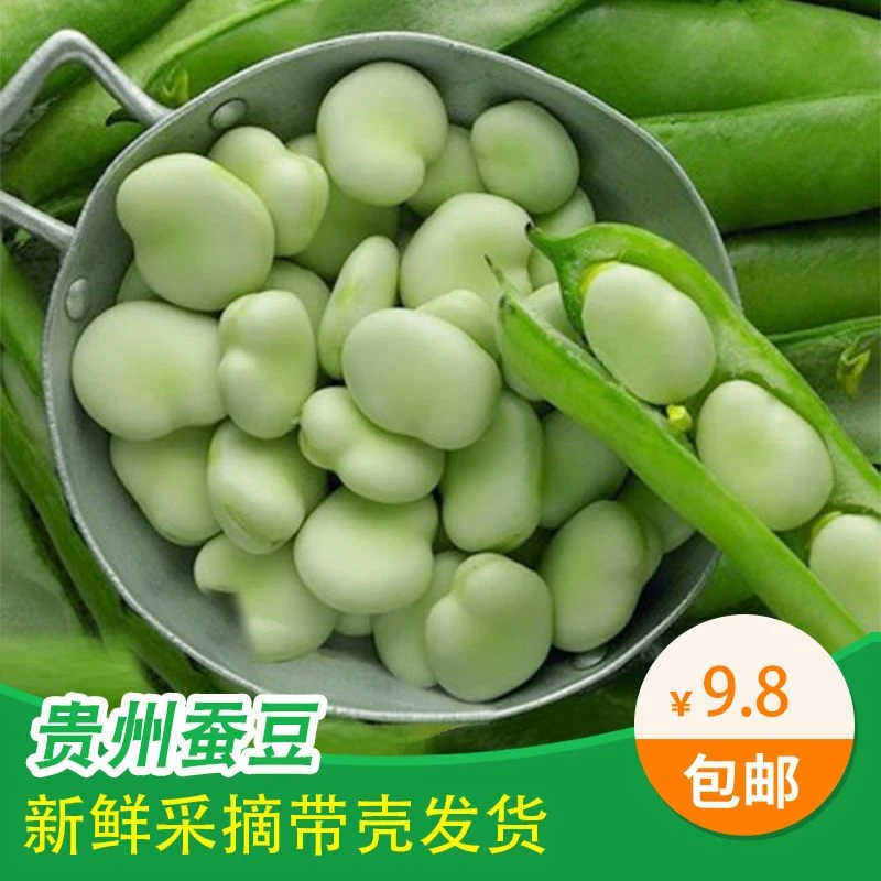 贵州农家新鲜带壳蚕豆胡豆罗汉豆时令蔬菜