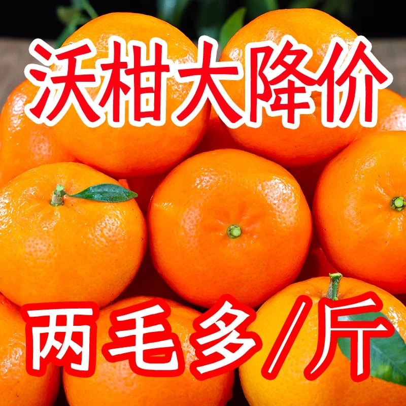 【抢购中】广西武鸣沃柑1-9斤新鲜水果皇帝柑砂糖蜜橘丑橘粑粑柑