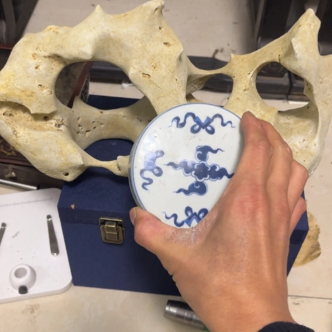 【闪购商品】陶瓷碗阿*猫