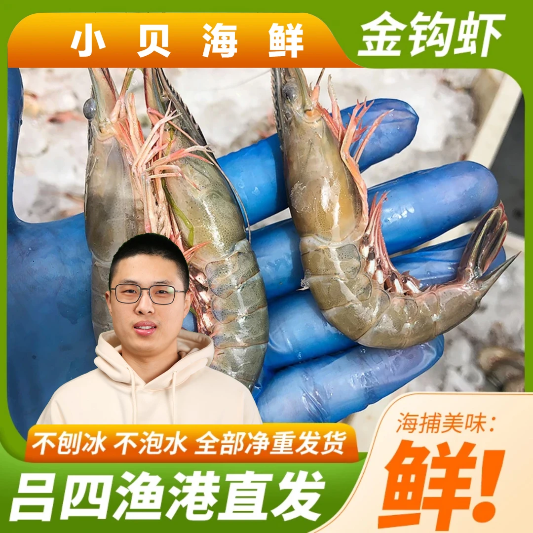 吕四渔港海捕金钩虾 条虾 滑皮虾 硬壳虾 剑虾 鹰爪虾 码头急冻
