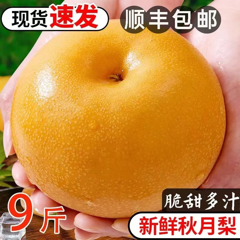 小香梨顺丰包邮香