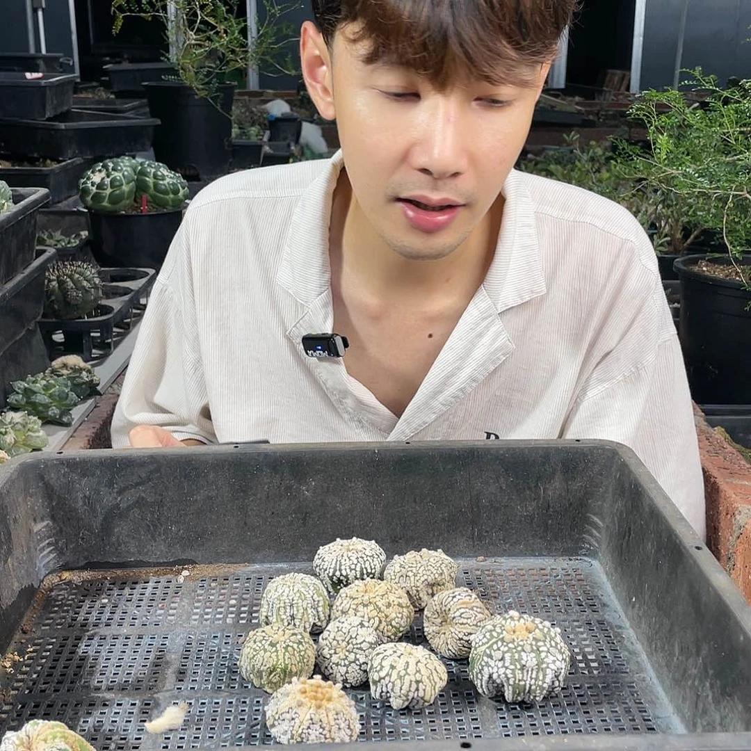 朦****烟27号福利筐兜有缺水有缺口
