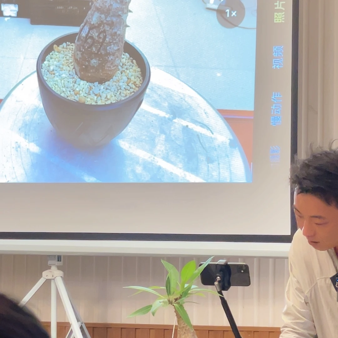 蛮*熊老家安博棒槌带盆