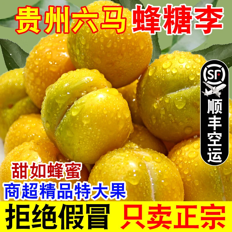 笨狐优选｜顺丰包邮贵州六马蜂糖李皮薄肉多 甘甜酥脆清甜新鲜水果