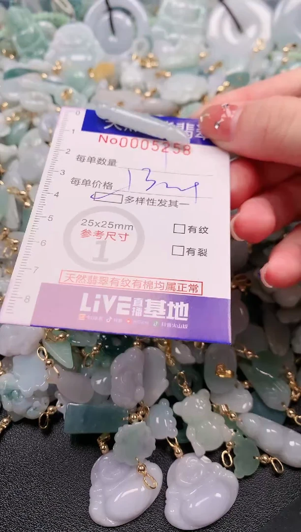【闪购商品】翡翠颈饰未镶嵌00005258多样性发其一