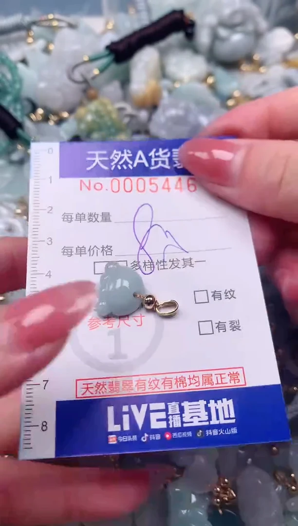 【闪购商品】翡翠颈饰未镶嵌00005446