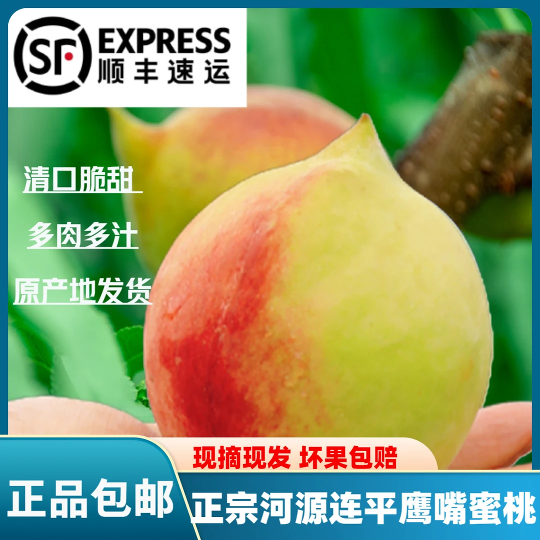 顺丰包邮【优选果】达人专属河源连平鹰嘴蜜桃脆口清甜新鲜水果