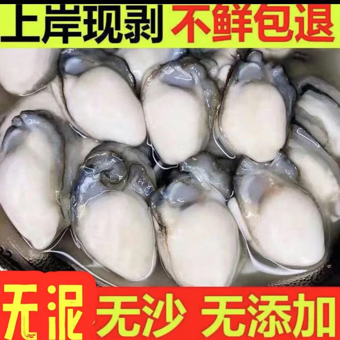 双十一提前购去壳南澳岛发货生蚝肉250g/盒(20只左右每盒)到手9盒