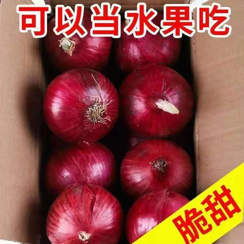 紫红皮水果洋葱10斤新鲜葱头现挖洋葱5斤圆葱头批发农家蔬菜甜瓜