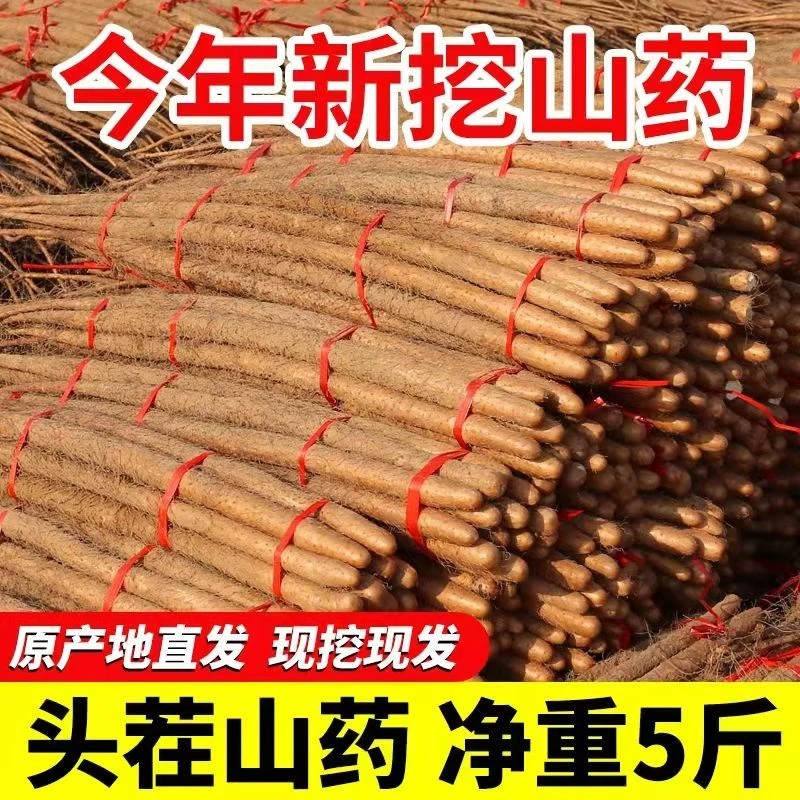 【新鲜直达】铁棍麻山药正宗焦作淮山药新鲜小白嘴粉糯面甜现挖卖