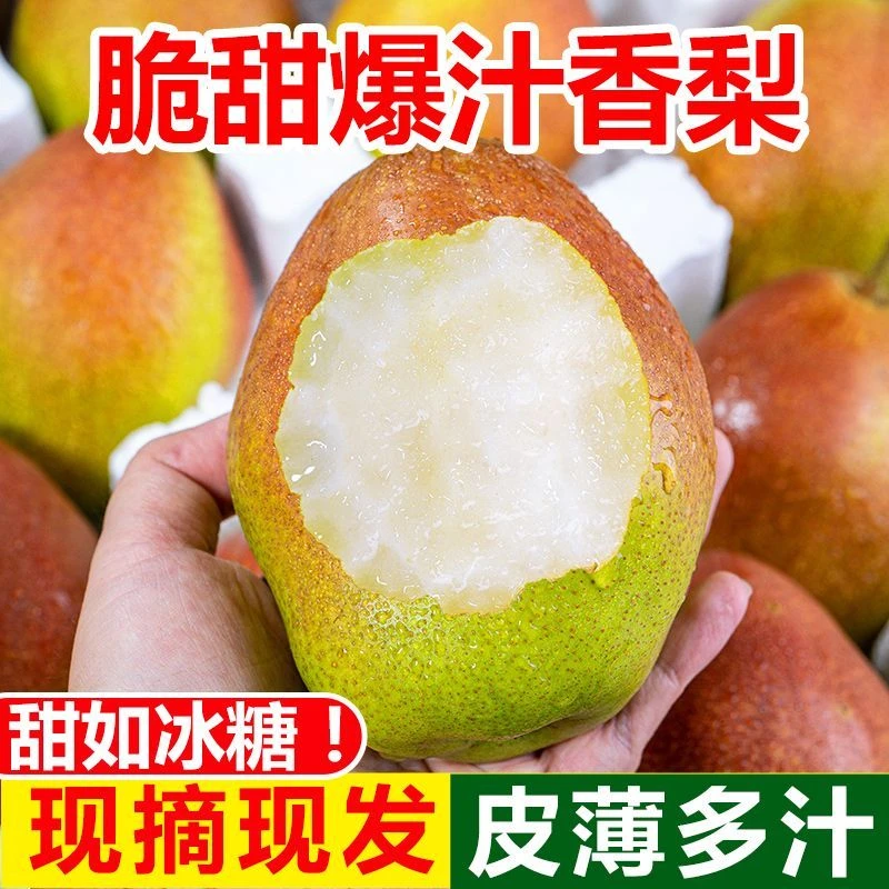 新疆香梨水果梨子新鲜当季整箱薄脆甜红香酥梨批发