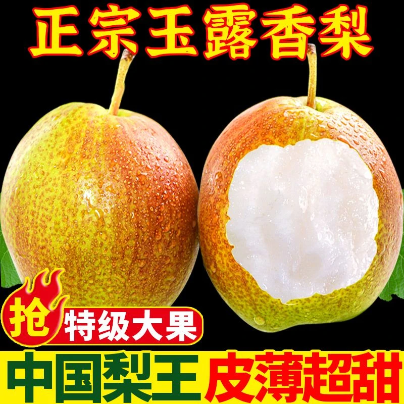 玉露香梨5/10斤应季新鲜水果梨子薄皮酥脆超甜批发一整箱包邮