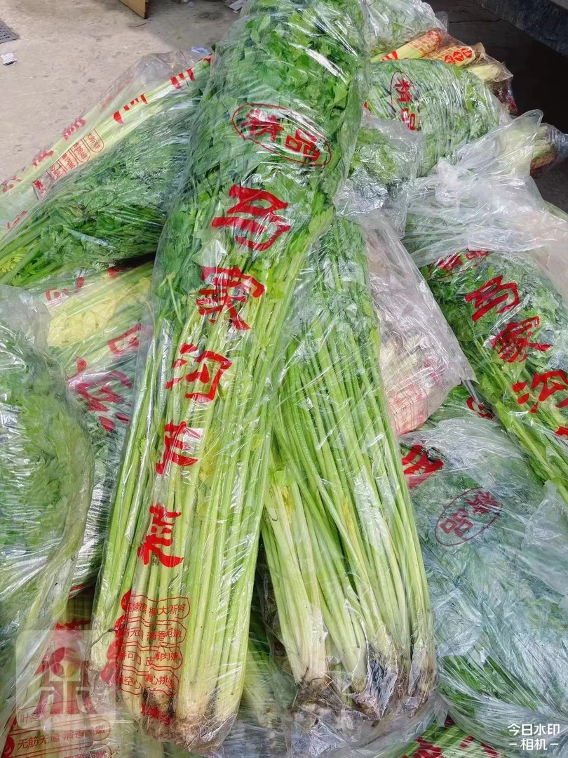 马家沟芹菜3斤左右
