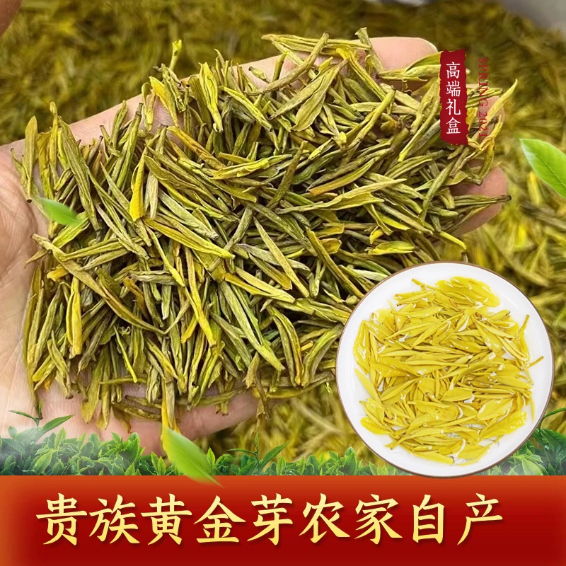 新茶上市明前头采黄金芽高山绿茶豆香十足 特级浓香