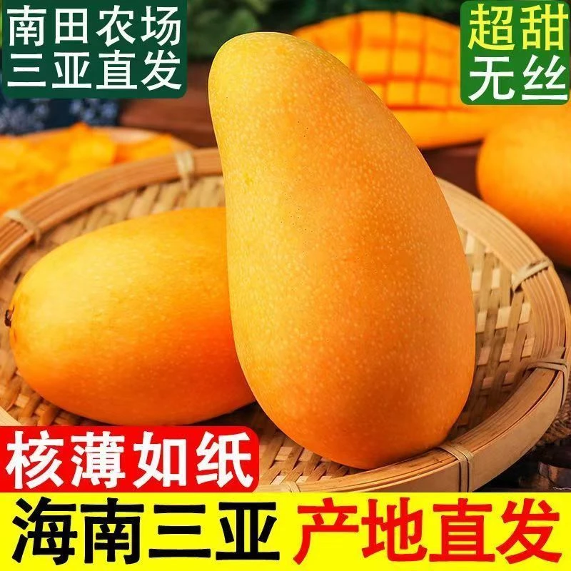 【顺丰-海南直发】海南金煌芒4.5-8斤大果礼盒包装水仙芒坏果包赔