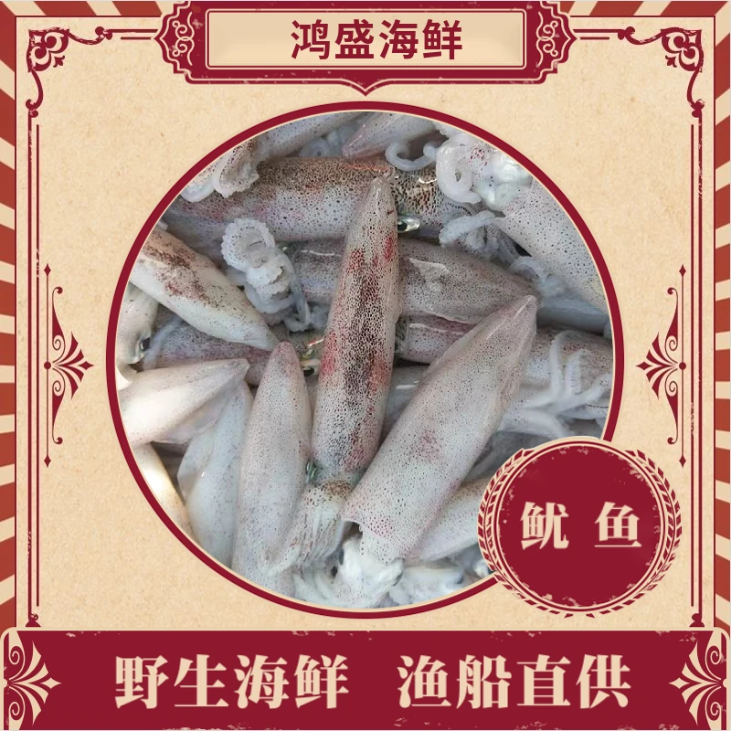福建船捕【小软丝】冻品不售后