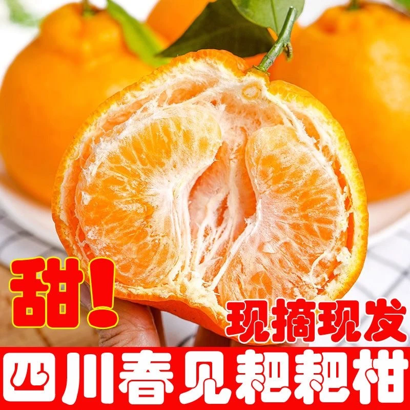 四川春见耙耙柑丑橘不知火柑橘桔子果园直发新鲜水果丁鸽严选果农
