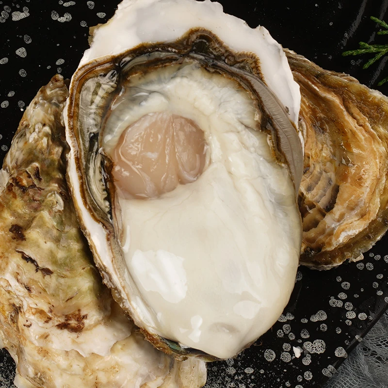 俩好先生乳山生蚝原产地发货6-8两/只鲜嫩五斤牡蛎肥美海蛎子包邮