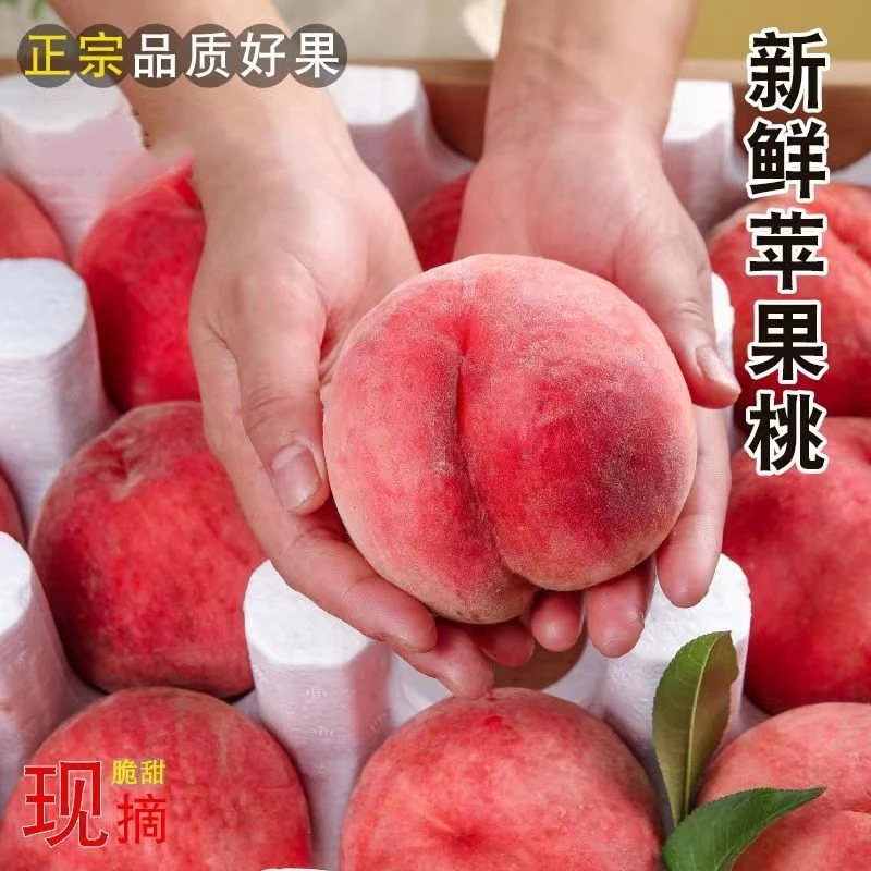 苹果桃/广水脆桃孕妇吃新鲜蜜桃湖北香甜爆汁现摘大果血桃胭脂红