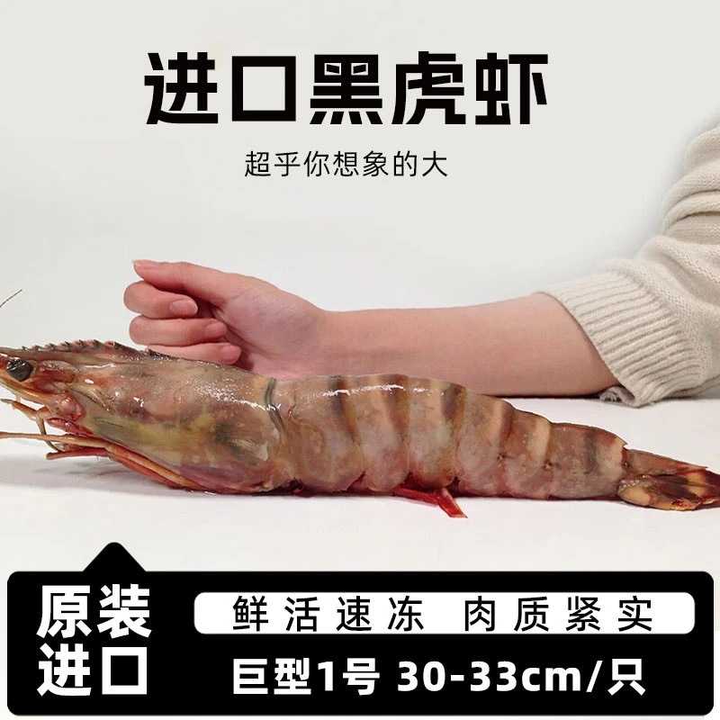 尝鲜生 黑虎虾进口生冻大虾 生鲜虾类节虾海鲜礼盒老虎虾斑节对虾