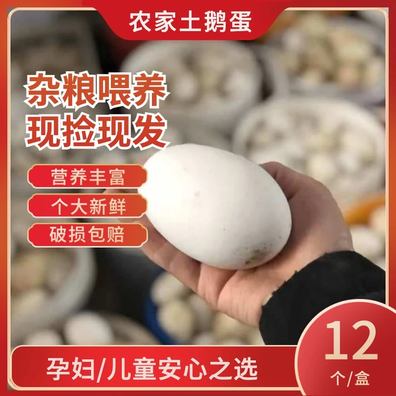 【农家发货】新鲜散养土鹅蛋谷物菜叶喂养营养健康孕妇小孩可食用
