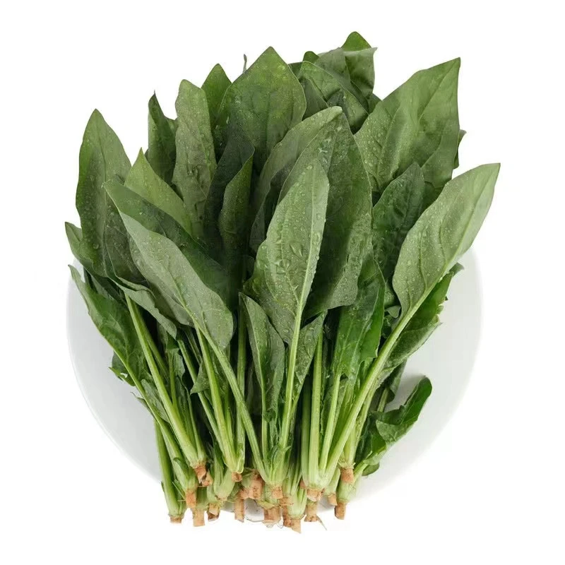 【山姆】 菠菜苗 400g