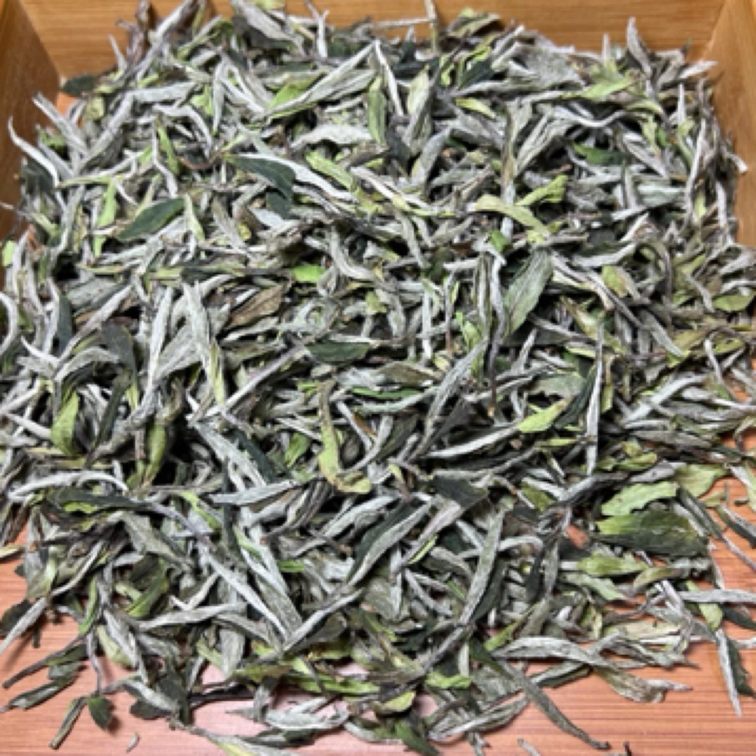 2024年福鼎牡丹王毫香蜜韵 汤稠 汤厚 茶气足 满毫 香气高级