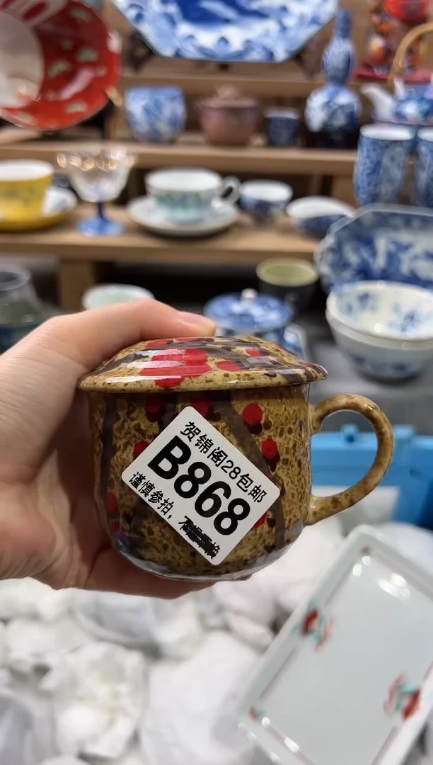 【闪购商品】瓷片当天满28米包邮B868