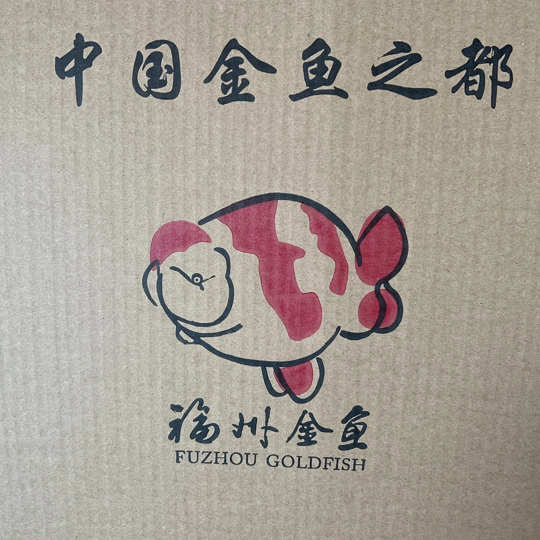 福林观赏鱼泡沫箱保护金鱼安全到家专用发货箱加厚