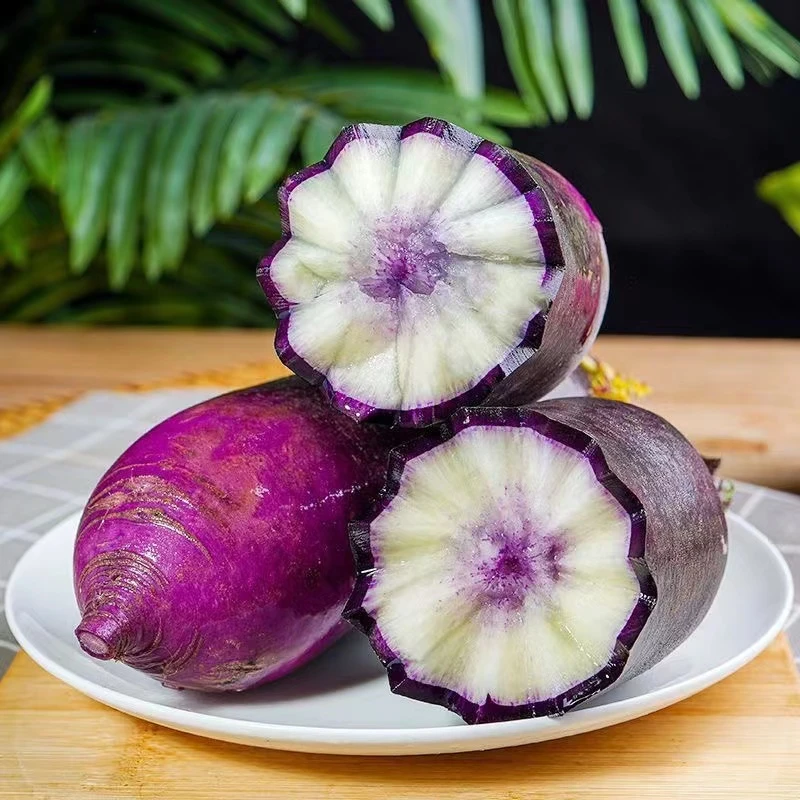 坏果包赔新鲜现拔冰激凌水果萝卜5斤生吃口感脆爽