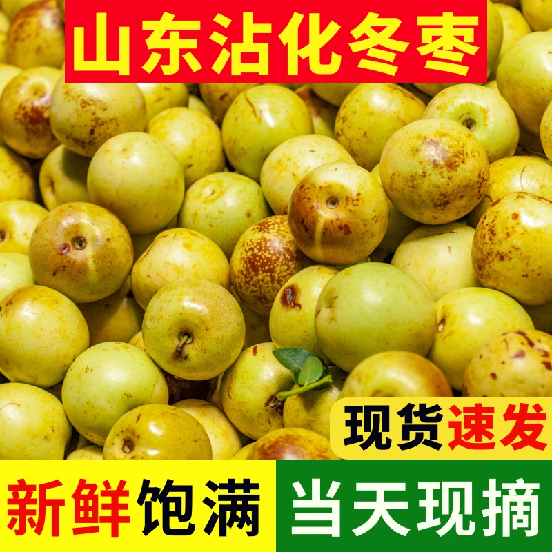 【 买三斤送二斤 】山东沾化冬枣新鲜枣子青枣产地直发当季水果-1