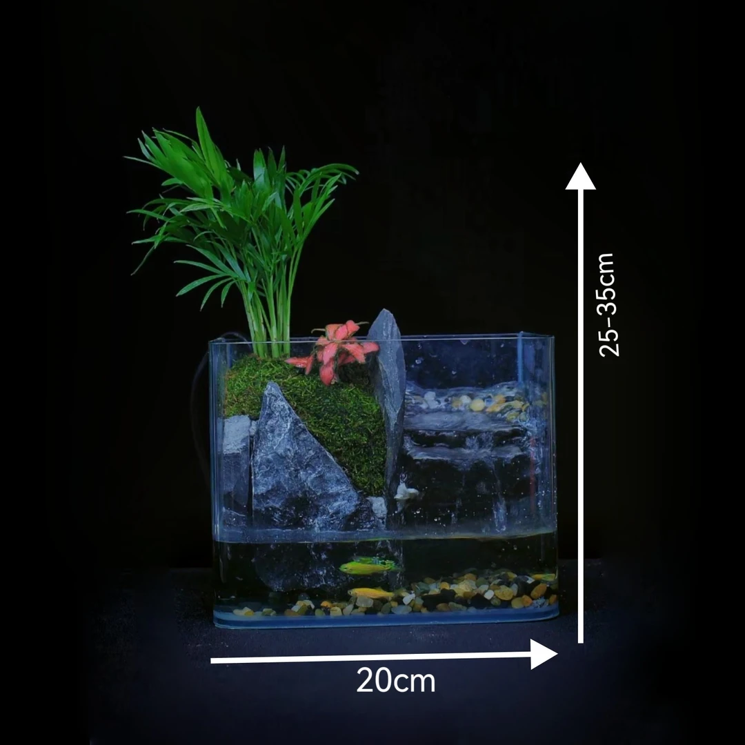 【微景居】老桩椰子大缸桌面摆件20*16*14