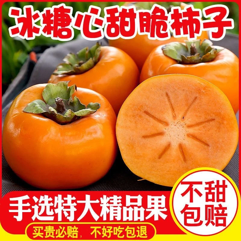 【果园直发】山西阳丰巧克力脆甜柿子农家新鲜采摘应季水果冰糖心