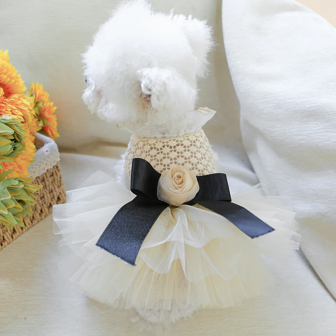 PETCIRCLE/宠物圈可可小姐婚纱宠物公主风连衣裙春夏薄款比熊泰迪