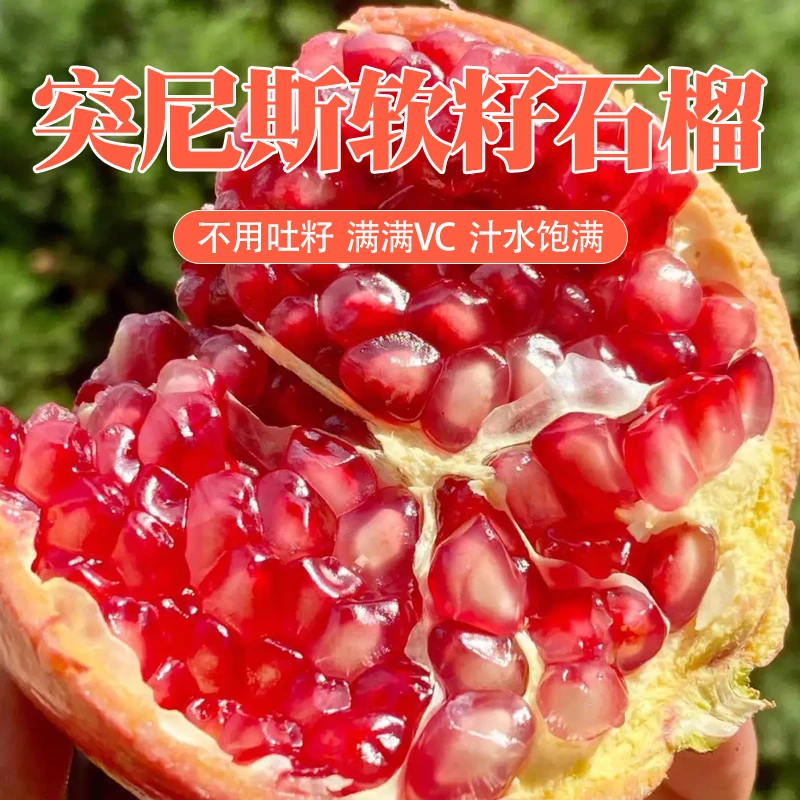 (坏果包赔)四川突尼斯软籽石榴5粒 单果0.8-1斤 果粒饱满粒粒爆汁