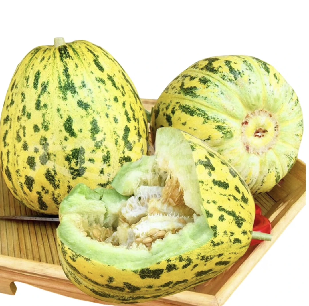 【坏果包赔】吉林八里香薄皮香瓜5斤（5-8颗）