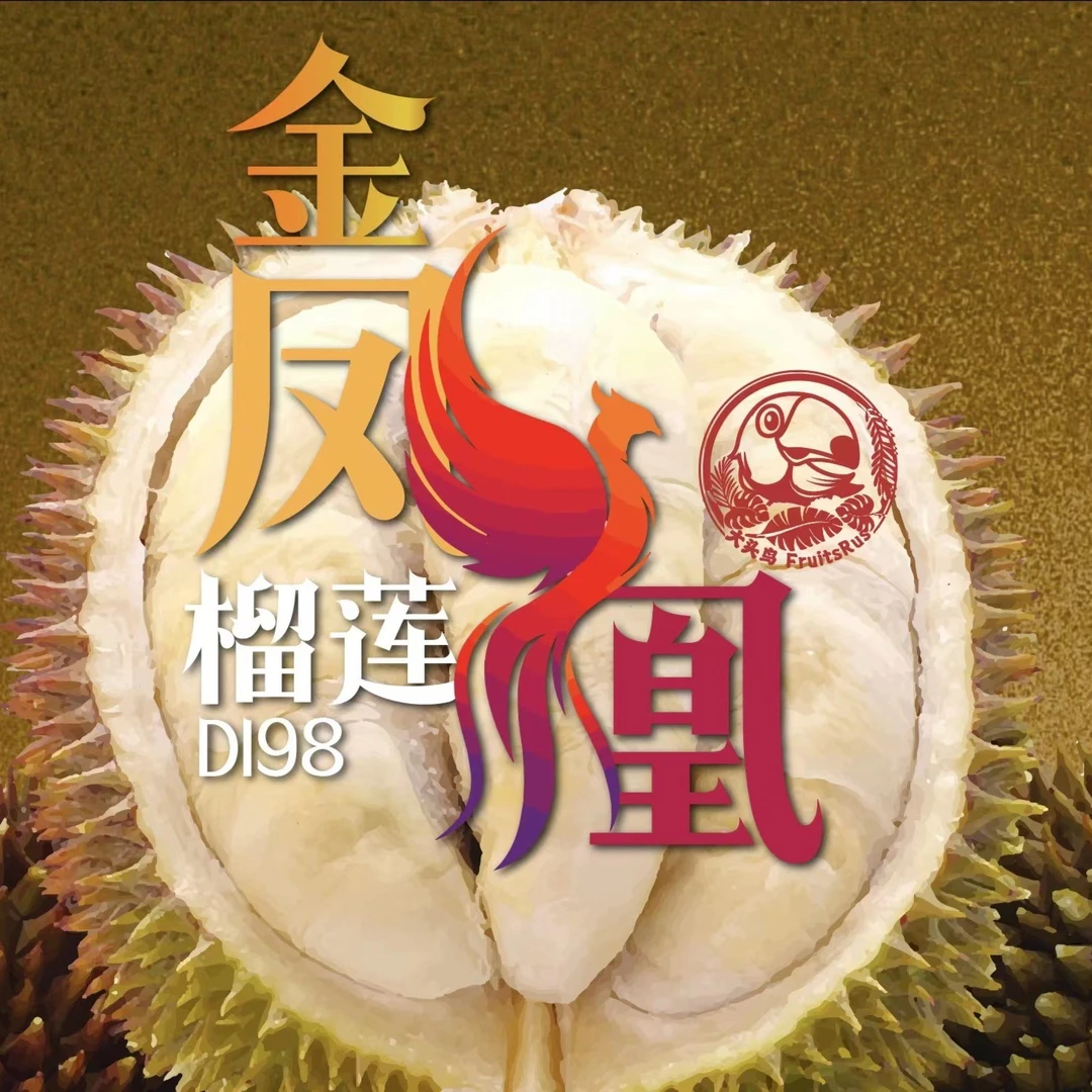 D198金凤冷冻榴莲马来西亚液氮冷冻整粒榴莲顺丰包邮
