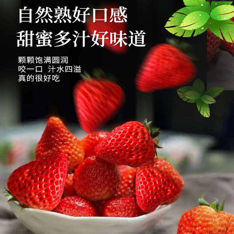 丹东九九草莓新鲜头茬香甜大果产地直发顺丰空运包邮