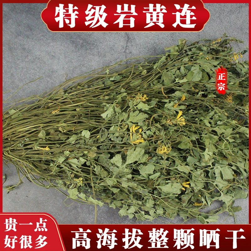 岩黄连野生崖黄连岩黄莲生黄堇岩胡岩连菊花100-250克包邮非葛根