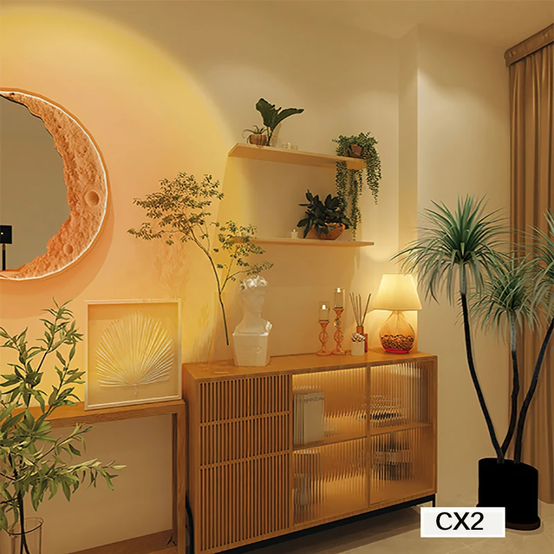 新款女主播室内服饰温馨3d直播背景抖音拍照氛围感背景布ins风